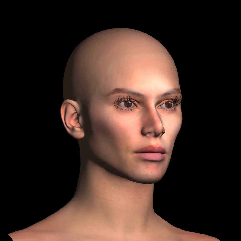 Character render — three-quarter view
