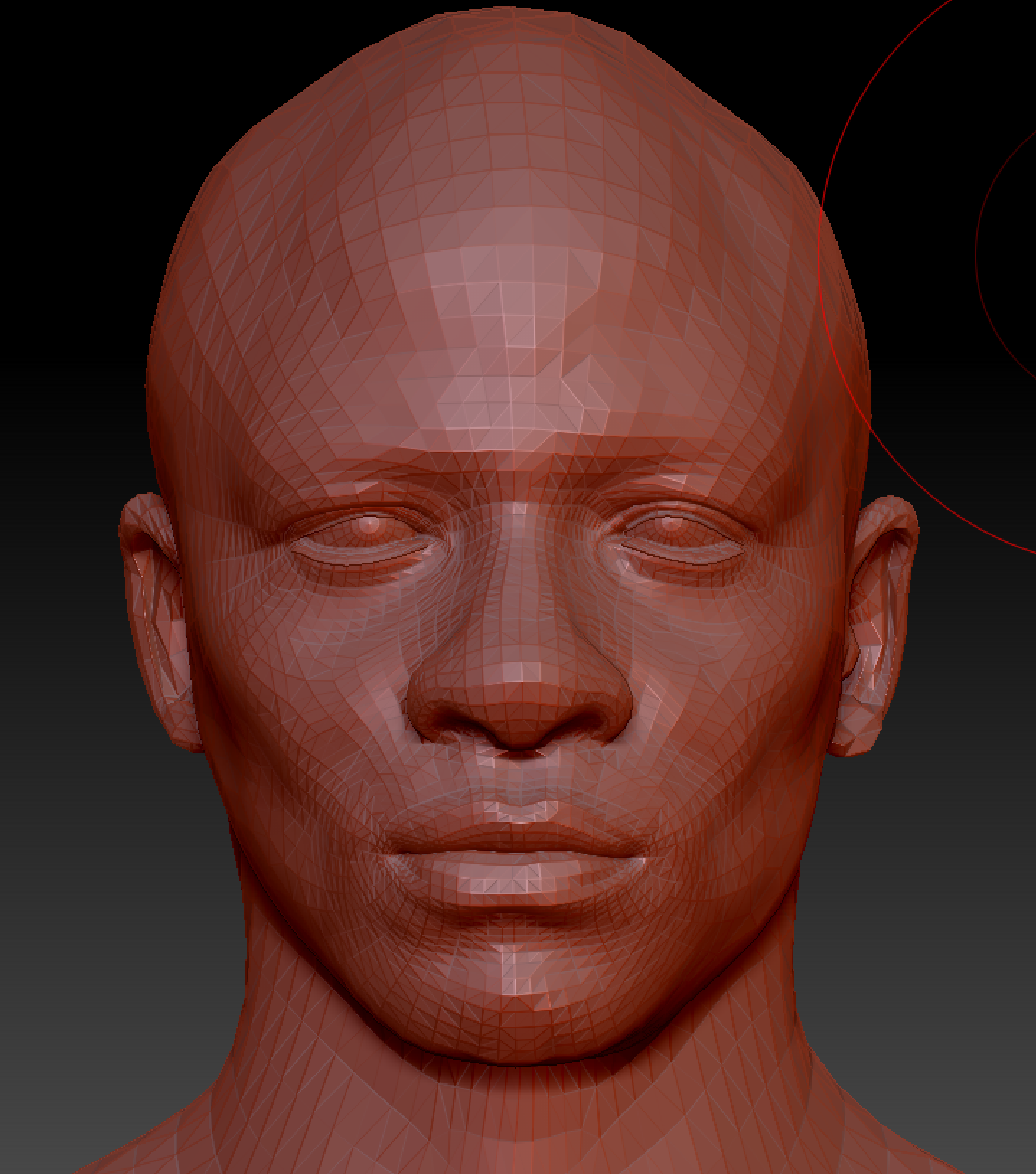 Character mesh — wireframe view